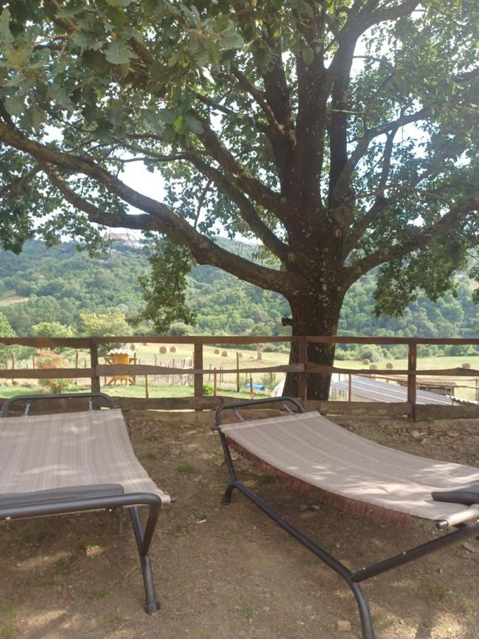 Agriturismo Cisogna Villa Anagni Bagian luar foto