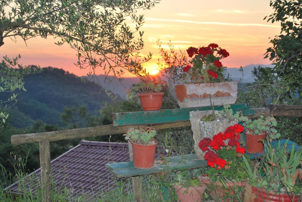 Agriturismo Cisogna Villa Anagni Bagian luar foto