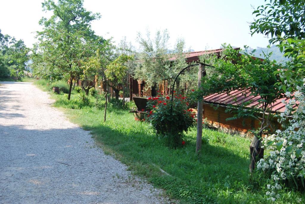 Agriturismo Cisogna Villa Anagni Bagian luar foto