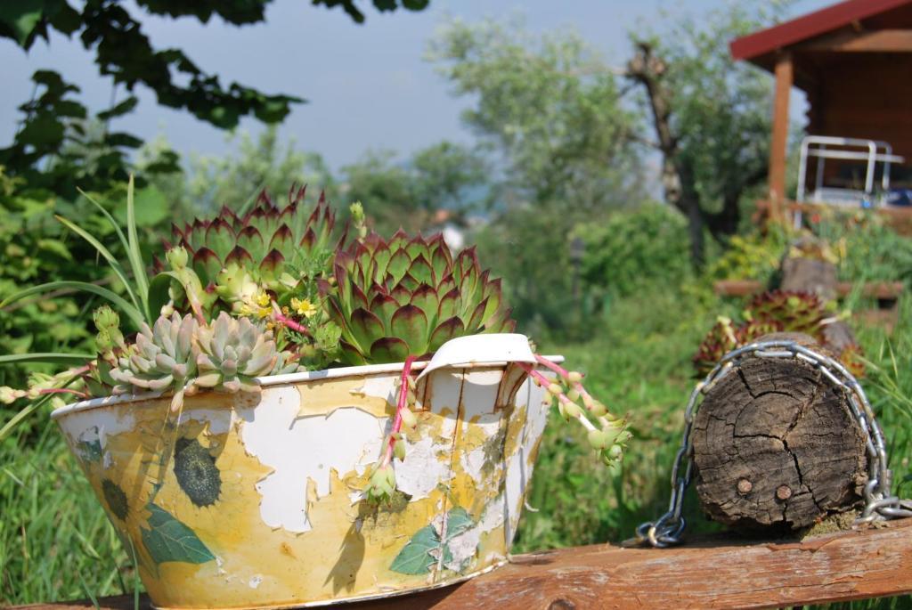 Agriturismo Cisogna Villa Anagni Bagian luar foto