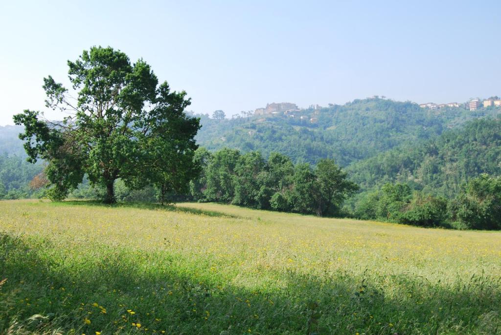 Agriturismo Cisogna Villa Anagni Bagian luar foto