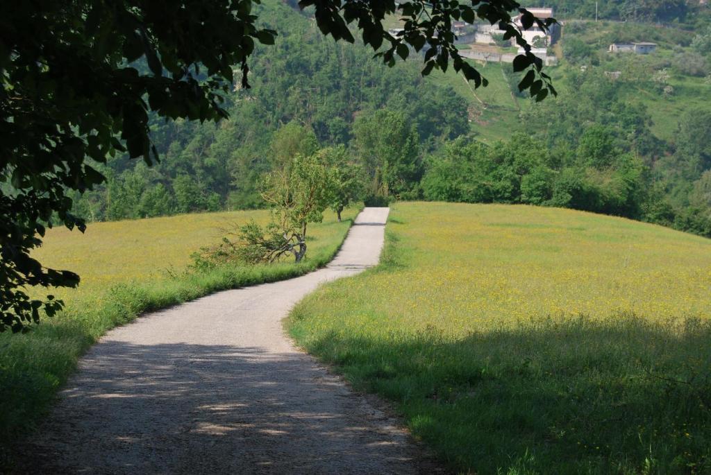 Agriturismo Cisogna Villa Anagni Bagian luar foto