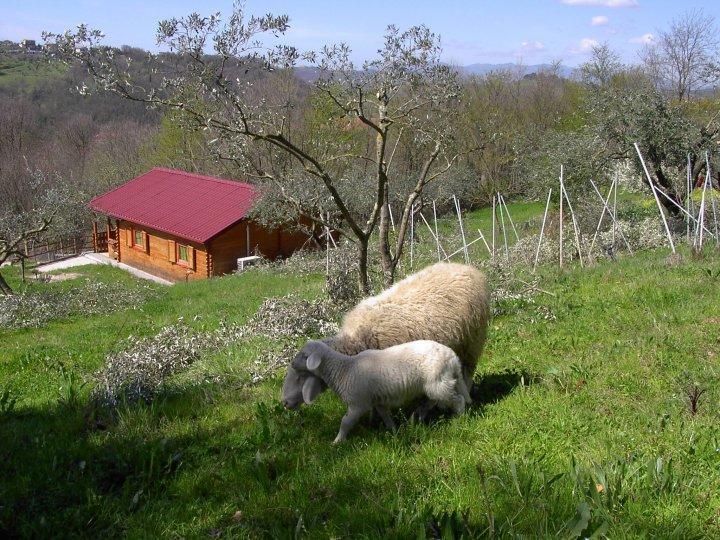 Agriturismo Cisogna Villa Anagni Bagian luar foto