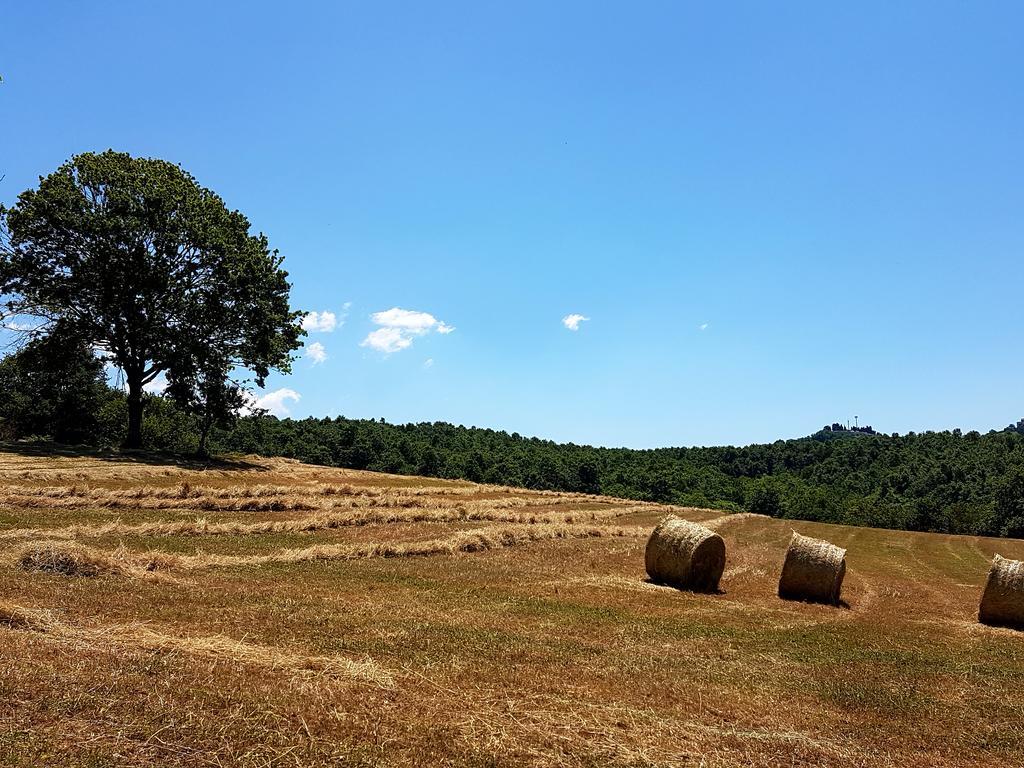 Agriturismo Cisogna Villa Anagni Bagian luar foto