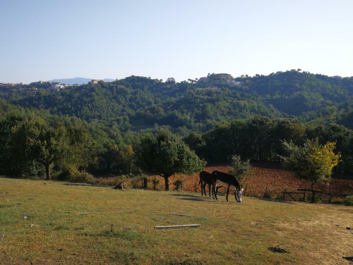 Agriturismo Cisogna Villa Anagni Bagian luar foto